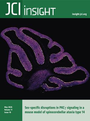 An image of the journal cover.